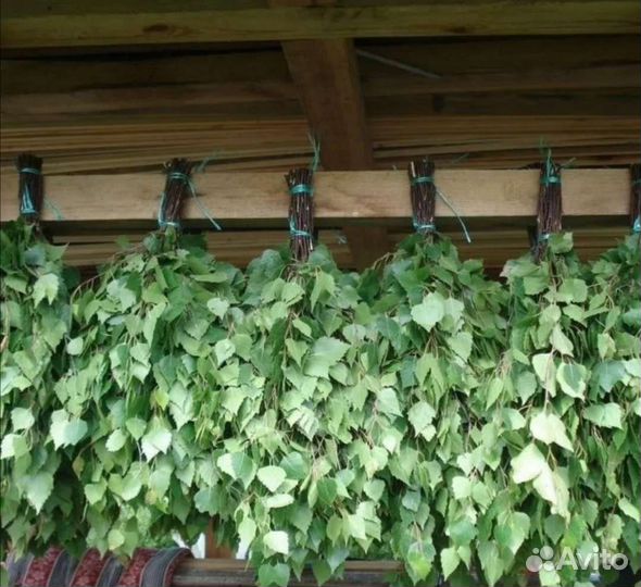 Березовые веники