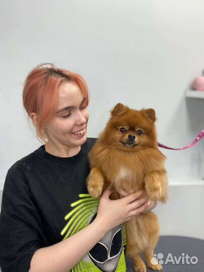 Грумер стрижка собак с выездом на дом