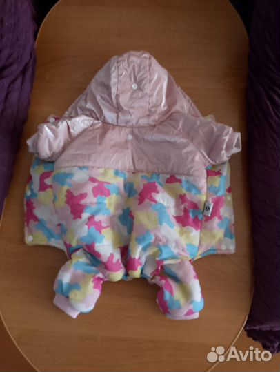 Одежда для собак