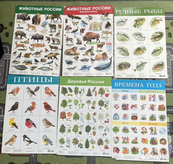 Обучающие плакаты