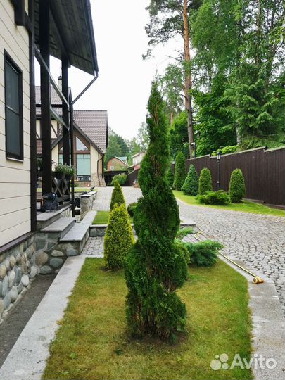 Топиарная стрижка деревьев, садовник