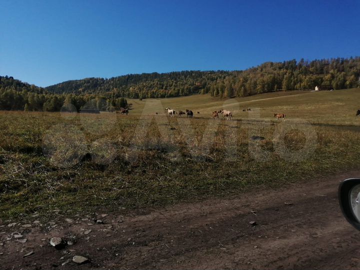 Участок 4,5 га (СНТ, ДНП)