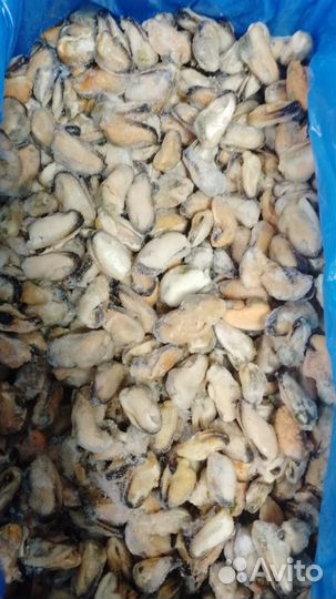 Мидии варено-мороженые