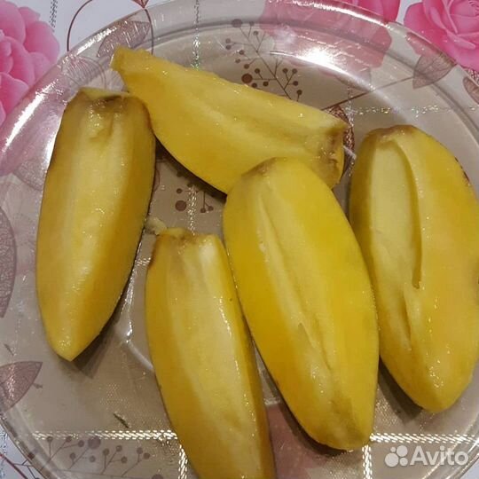 Пепино или дынная груша(черенков мало )