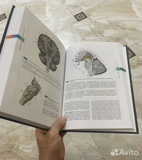 Атлас нормальной анатомии человека