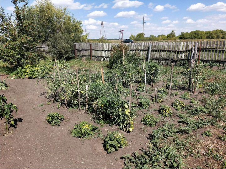 Дом 68,3 м² на участке 30 сот.