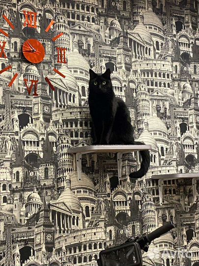 Полки, гамаки, мостики для кошек