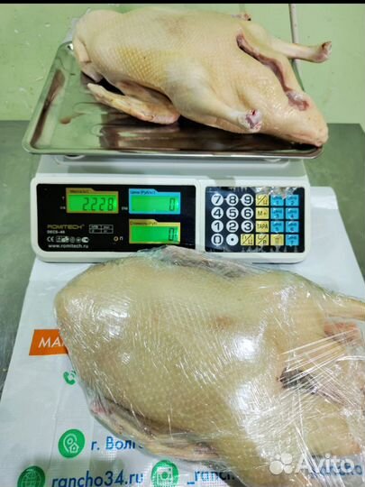 Домашнее мясо кур