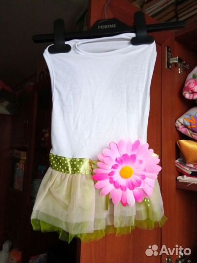 Ошейник, платье, шлейка, комбинезон