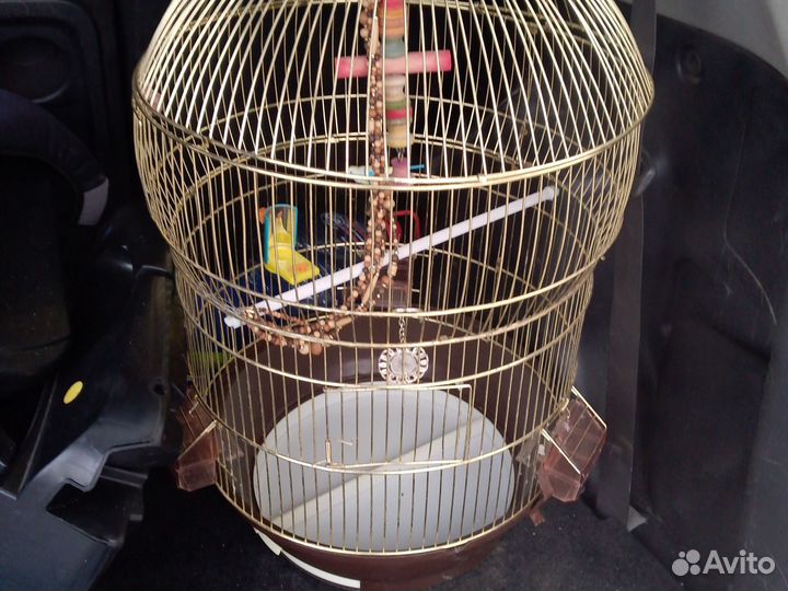 Клетка для попугая