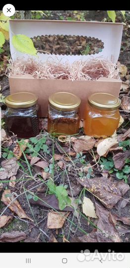 Мед цветочный целебный натуральный