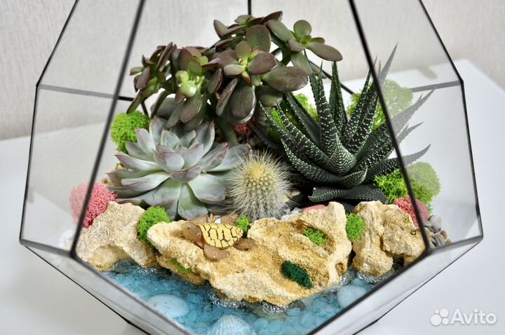 Флорариум с водоемом Капля L