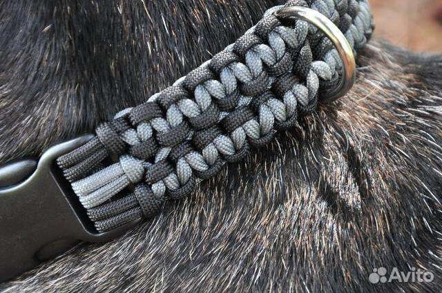 Ошейники для собак