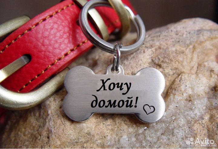 Адресники для Вашего питомца