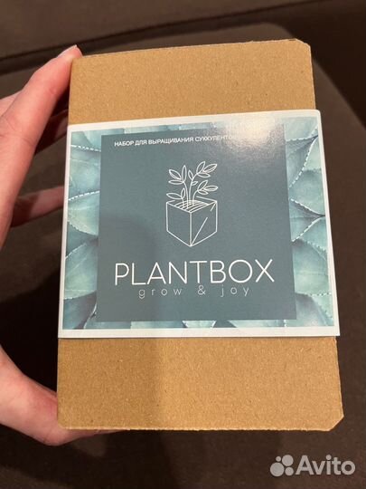 Набор plantbox 2 шт