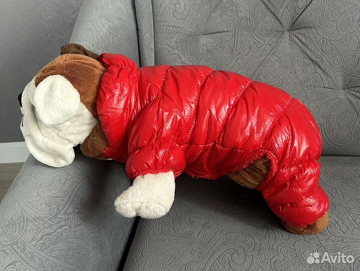 Комбинезон для собаки