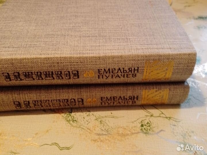 В. Я. Шишков 