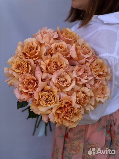 Букет из 15 Эквадорских пионовидных роз