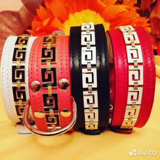 Ошейник на заказ для собак и других животных (экск