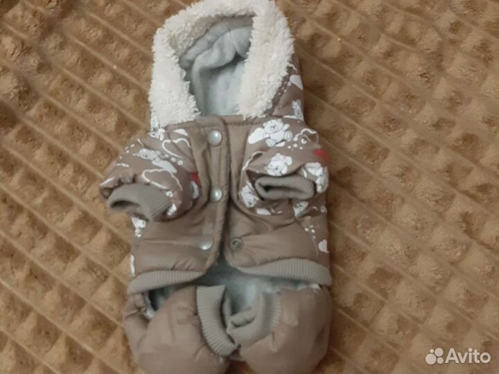 Куртка и ботиночки для маленьких собачек