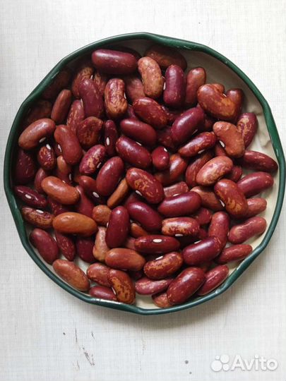 Семена фасоли