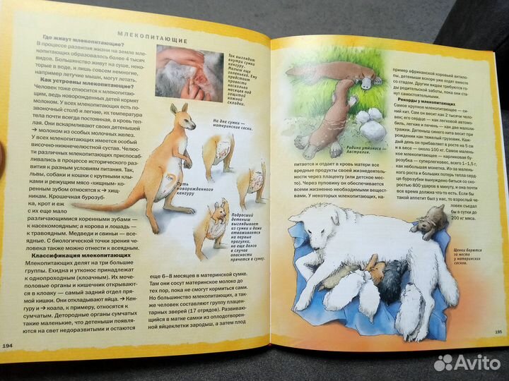 Детская энциклопедия