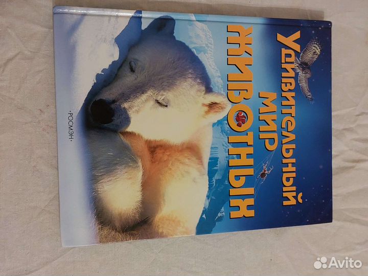 Детские книги о природе формат А4