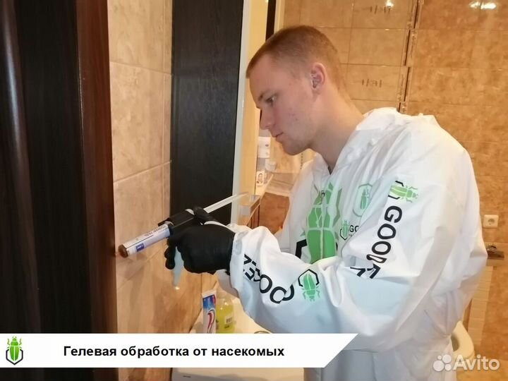 Уничтожение тараканов, клопов, насекомых, грызунов