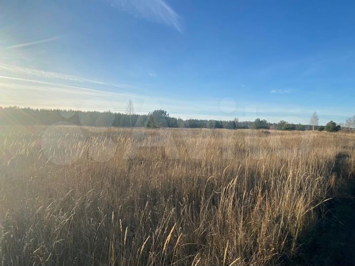 Участок 15 сот. (ИЖС)