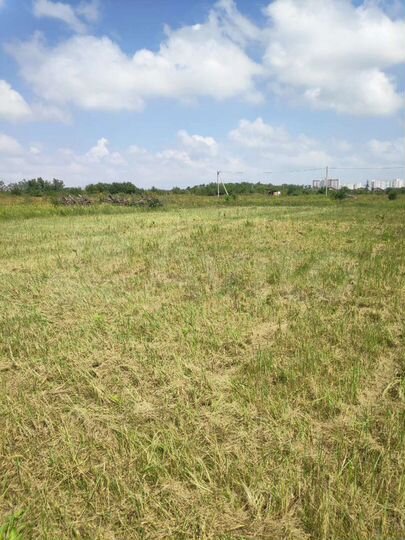 Участок 10 сот. (СНТ, ДНП)