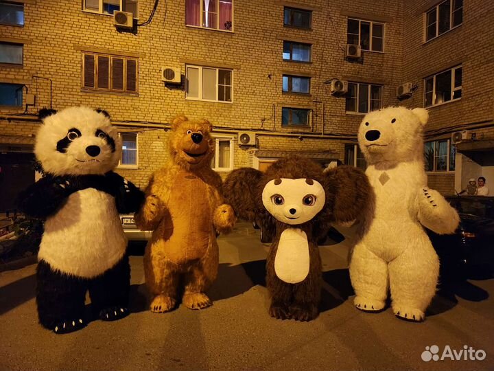 Белый мишка и его команда на ваш праздник