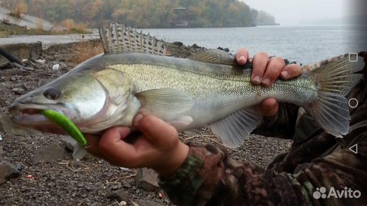 Рыбалка с гидом на реке Дон