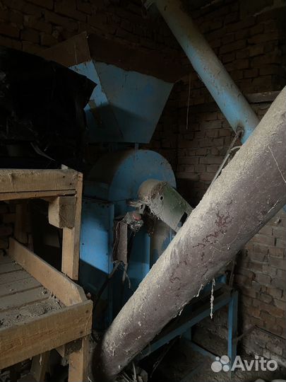 Крупорушка