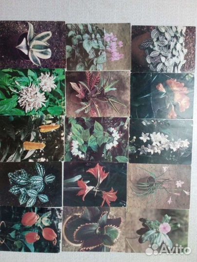 Коллекционирование