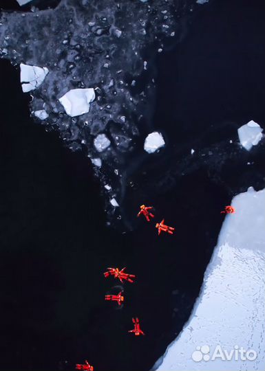 Айс флоатинг камчатка