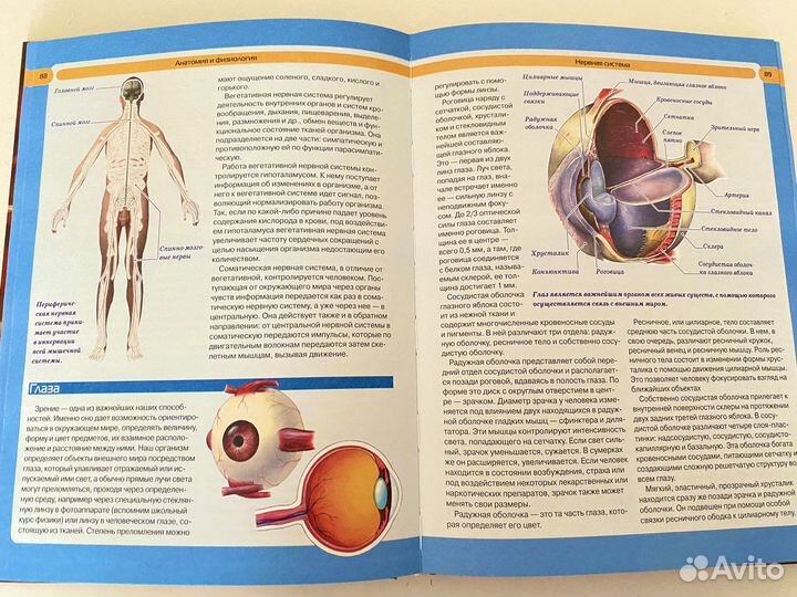 Большая энциклопедия по анатомии