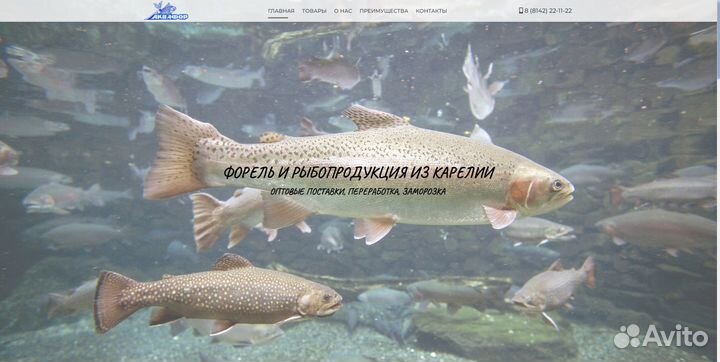 Разработка сайтов