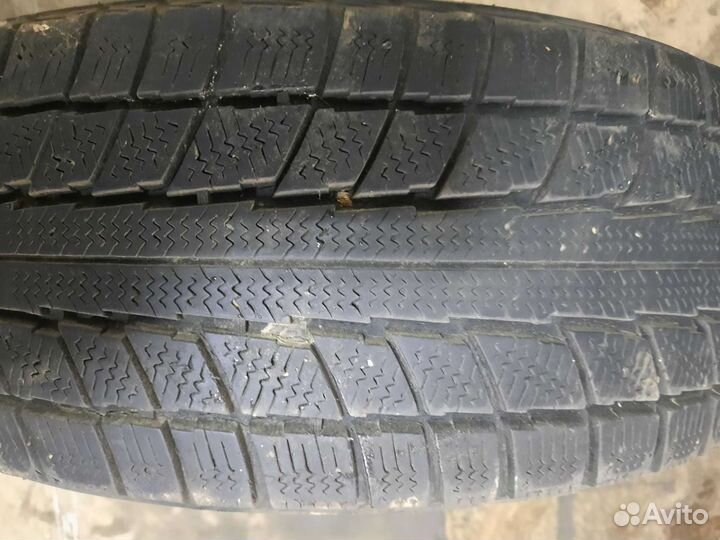 Triangle Snow-LL01 195/65 R15
