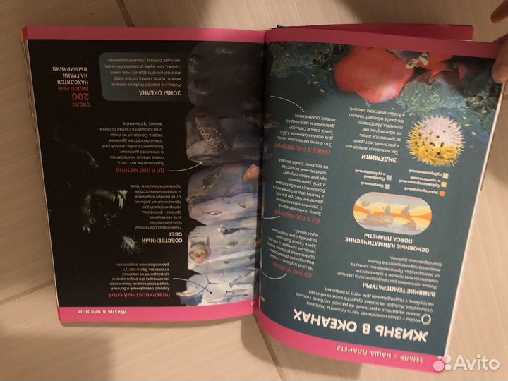 Энциклопедия для детей