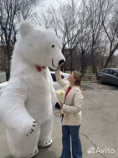 Ростовой мишка поздравление