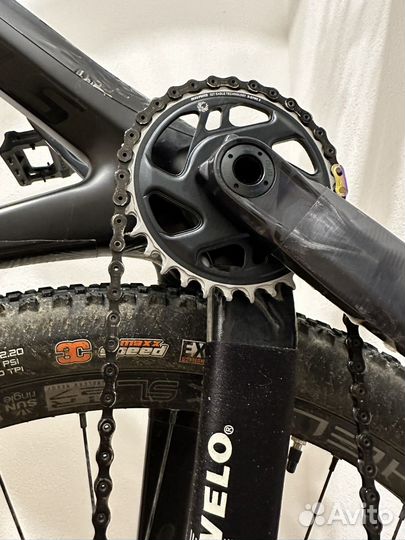 Stinger Genesis EVO STD 29 2021