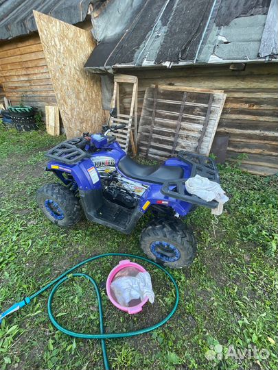 Avantis hunter 200 new big