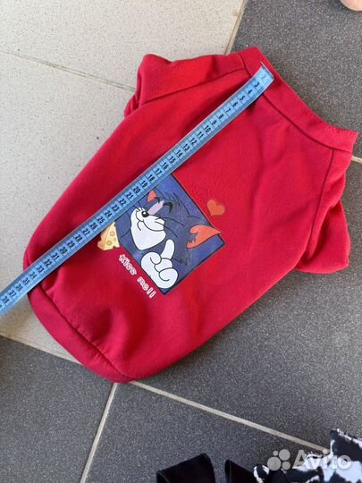 Одежда для маленьких собак