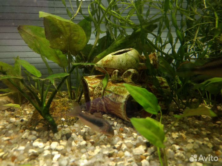 Украшение для аквариума