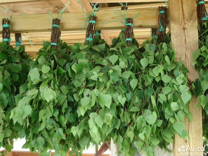 Веники-берёза и дуб