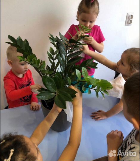 Частный детский садик 