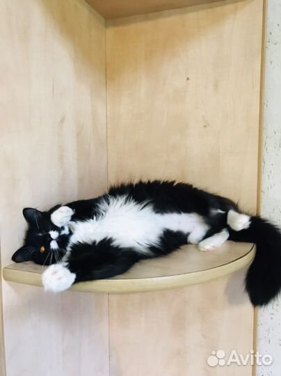 Боня 8 месяцев