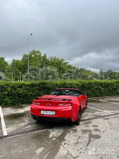 Аренда автомобиля Chevrolet Camaro