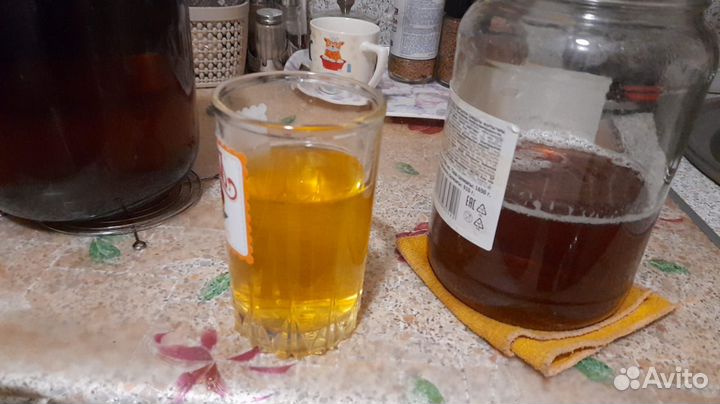 Чайный гриб комбуча для похудения