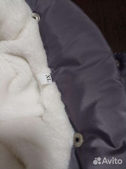 Одежда для собак мелких пород